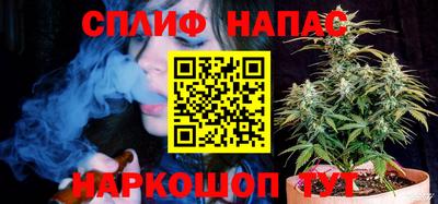 прущие грибы Можайск