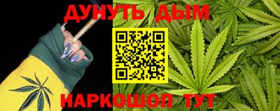 прущие грибы Можайск